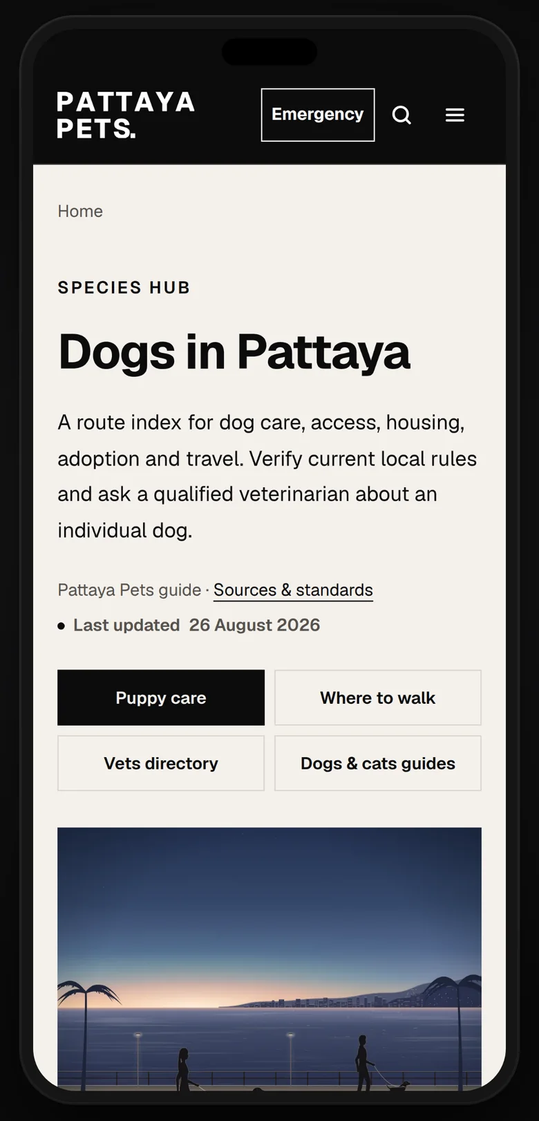 Dogs in Pattaya on a phone: puppy care and where to walk, and an illustration of people walking their dogs along the bay at dusk.